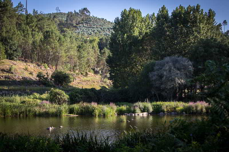 Casas Do Patio Country Houses & Nature Caldas da Felgueira Luaran gambar