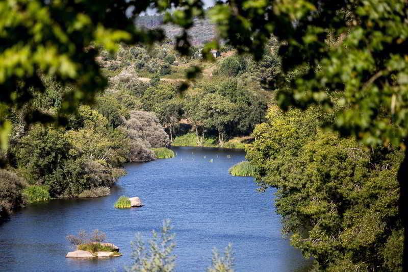 Casas Do Patio Country Houses & Nature Caldas da Felgueira Luaran gambar